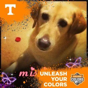 Meet your Posher, Deborah